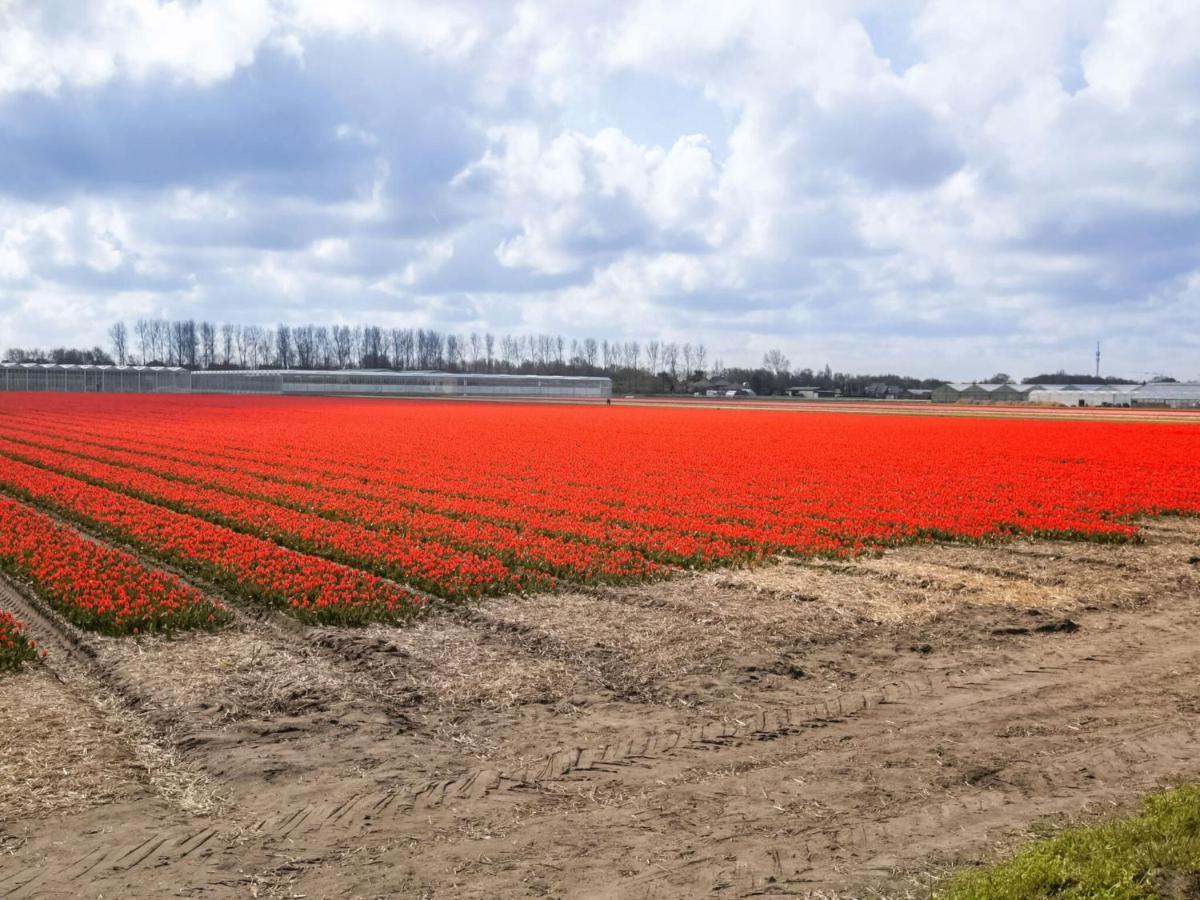 Holiday Home In Noordwijkerhout With Terrace Close To A Lake Bagian luar foto